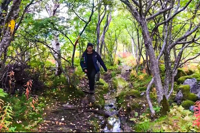 Lofoten Islands Luxury Fishing, Hiking & Beach Tour to Skrova - Key Points