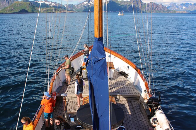 Lofoten Islands Luxury Sea2table Fishing Trip From Svolvær - Accessibility Information