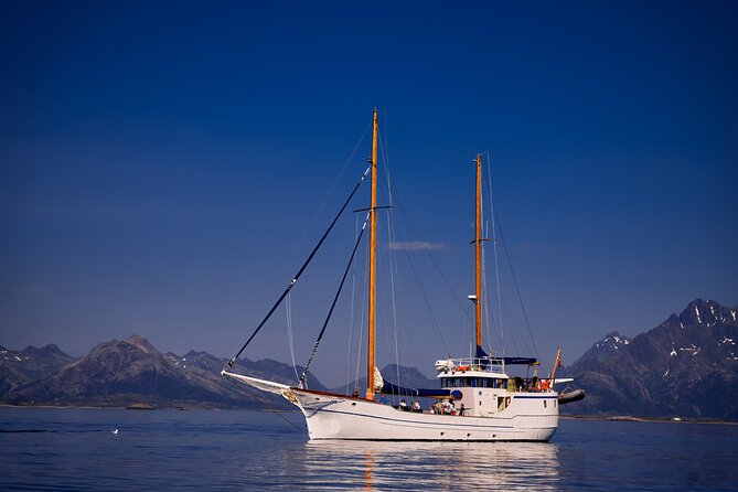 Lofoten Islands Luxury Trollfjord Cruise With Lunch From Svolvær - Booking and Pricing Information