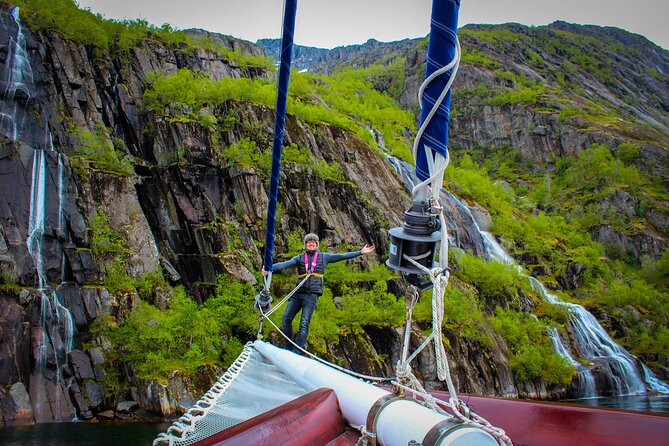 Lofoten Islands Luxury Trollfjord Cruise With Lunch From Svolvær - Customer Experiences and Reviews