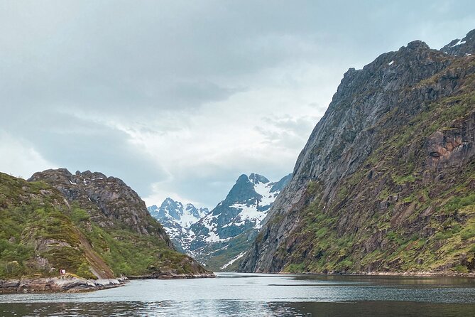 Lofoten Islands Luxury Trollfjord Cruise With Lunch From Svolvær - What to Expect Onboard