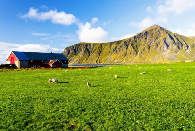Lofoten Islands: Road Bike Scenic Tour - Stunning Landscapes and Highlights