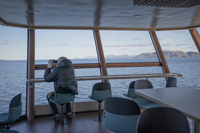 Lofoten Islands: Silent Trollfjord Cruise From Svolvær - Transportation and Public Access