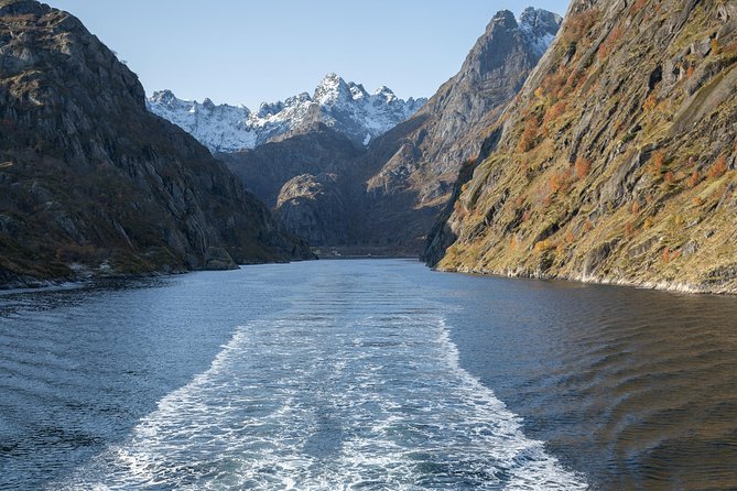 Lofoten Islands: Silent Trollfjord Cruise From Svolvær - Maximum Capacity and Group Size