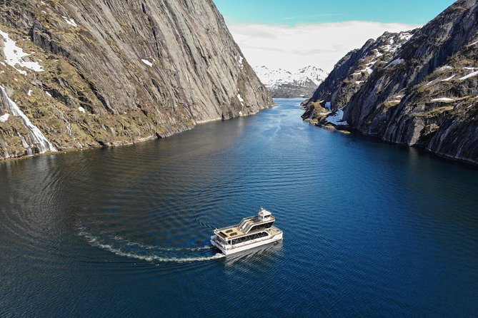 Lofoten Islands: Silent Trollfjord Cruise From Svolvær - Additional Cruise Information