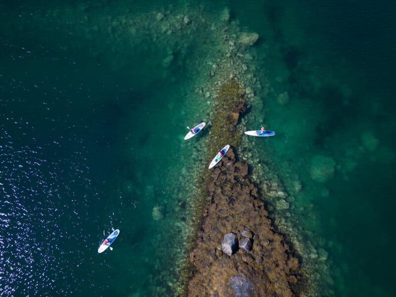 Lofoten Islands: SUP Adventure - Guided Tour - Included Equipment and Safety Gear