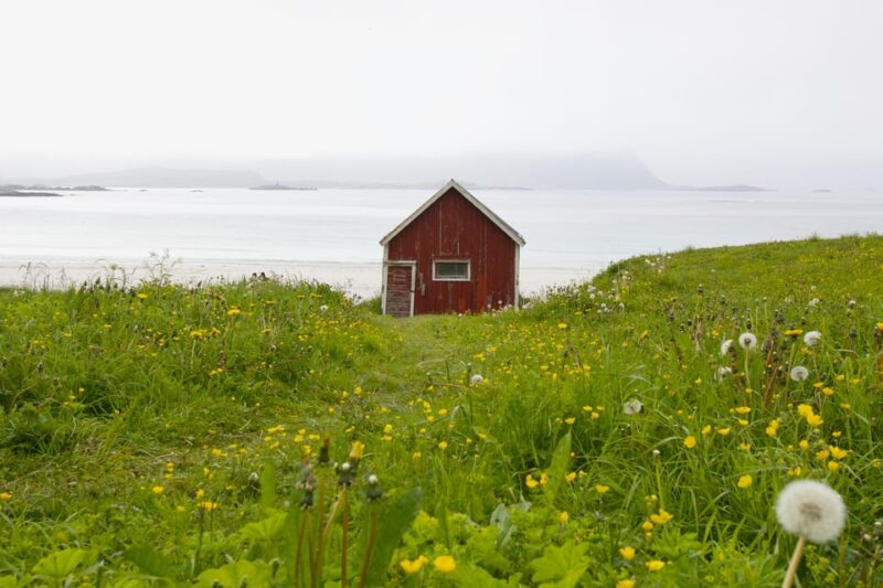 Lofoten: Private Tour for Cruise Visitors (From Leknes) - Local Experience