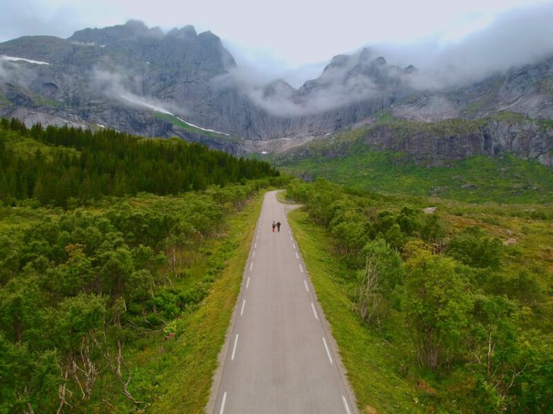 Lofoten: Private Tour for Cruise Visitors (From Leknes) - Inclusions