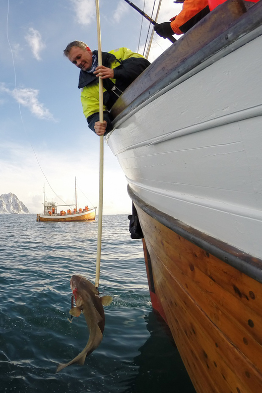 Lofoten: Traditional Fishing Trip - Key Points