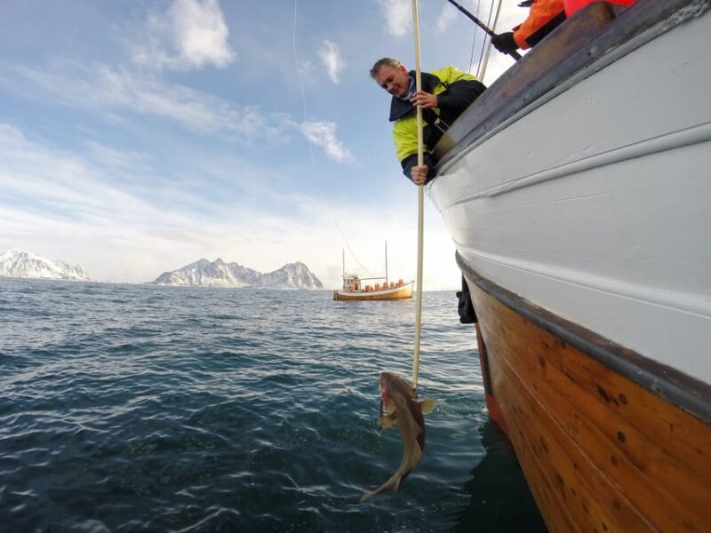 Lofoten: Traditional Fishing Trip - Vessel and Fishing Possibilities