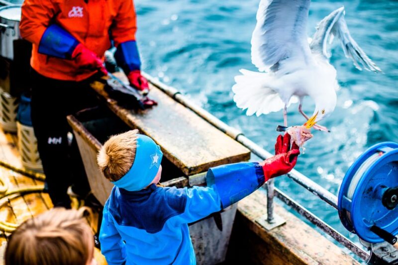 Lofoten: Traditional Fishing Trip - Included Equipment and Optional Rentals