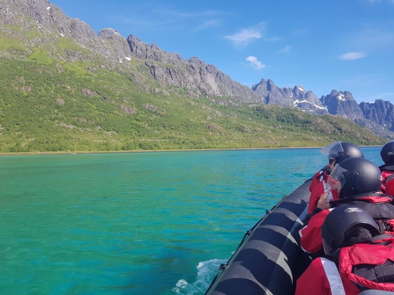 Lofoten: Trollfjord Sea Eagle Safari by RIB Boat - Key Points