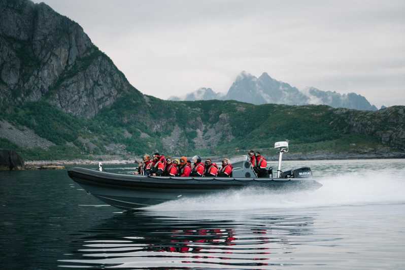 Lofoten: Trollfjord Sea Eagle Safari by RIB Boat - Pricing and Reservation Details