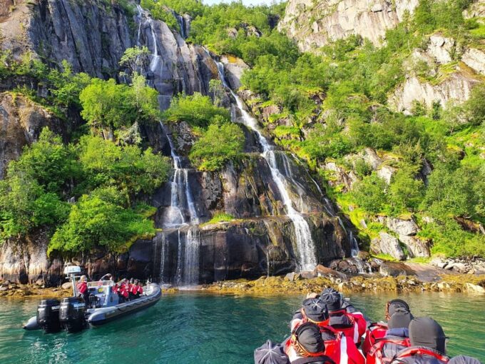 Lofoten: Trollfjord Sea Eagle Safari by RIB Boat - Customer Feedback and Ratings