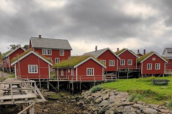 Lofoten VIP PRIVATE Tour From Leknes City / Port - Accessibility and Participation