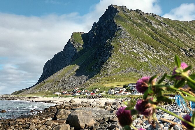 Lofoten VIP PRIVATE Tour From Leknes City / Port - Customer Ratings and Reviews