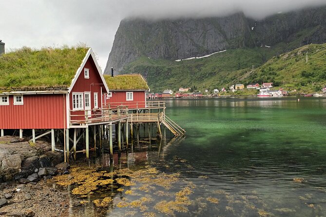Lofoten VIP PRIVATE Tour From Leknes City / Port - Tour Schedule and Confirmation