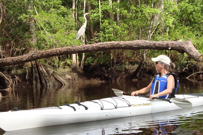 Lofton Creek Kayaking Trip With Professional Guide - Local Area Commentary