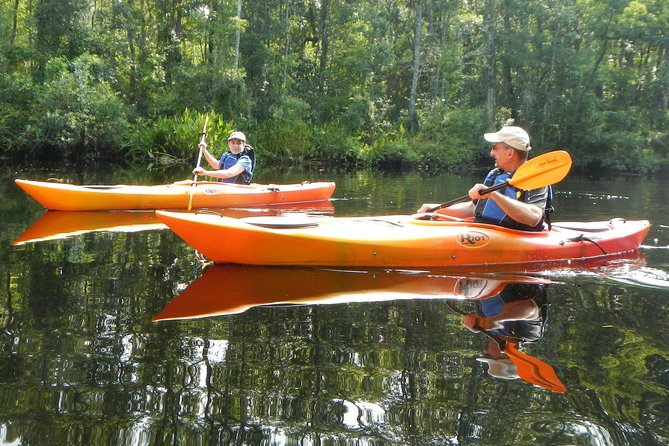 Lofton Creek Kayaking Trip With Professional Guide - Transportation and Accessibility