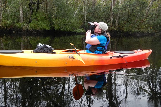 Lofton Creek Kayaking Trip With Professional Guide - Group Size and Booking Confirmation