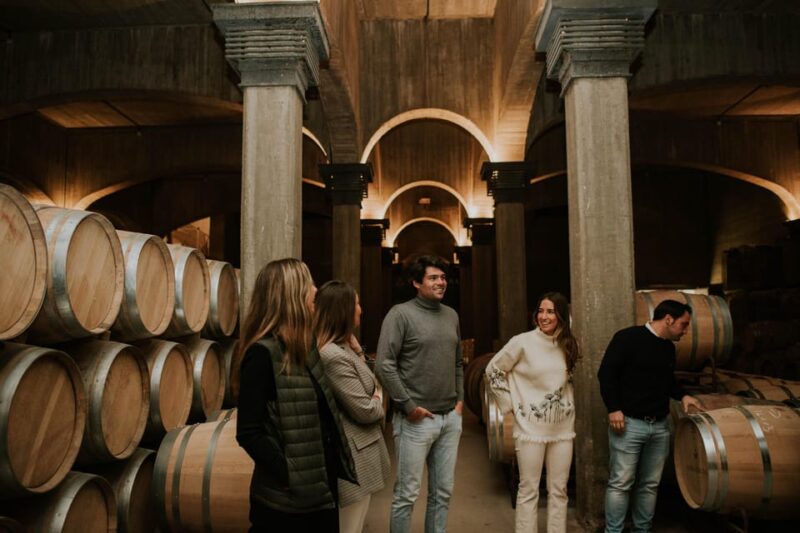 Logroño: Guided Visit With Tasting of 3 Wines and Aperitif at Viña Ijalba. - Winery Background