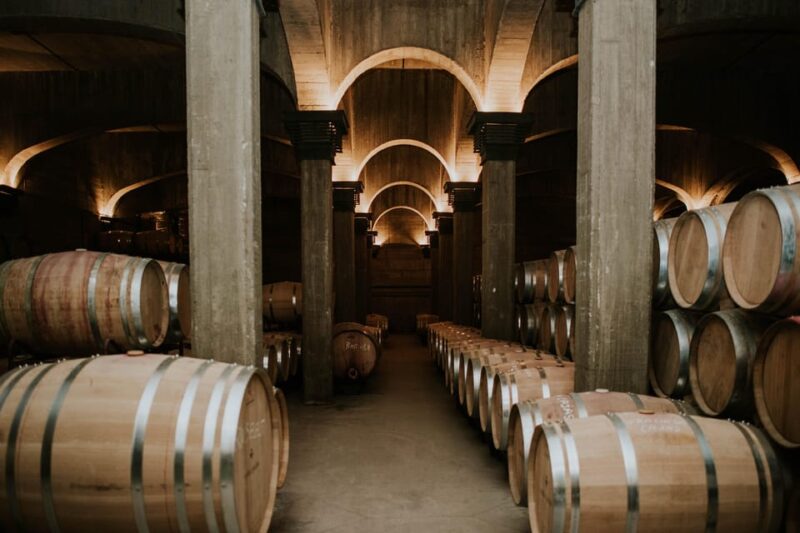 Logroño: Guided Visit With Tasting of 3 Wines and Aperitif at Viña Ijalba. - Exploring the Natural Museum of Native Varieties