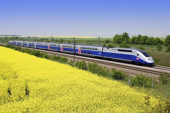 Loire Valley 2 Full Days Private Tour All Inclusive From Paris by TGV Train. - Wine Tastings