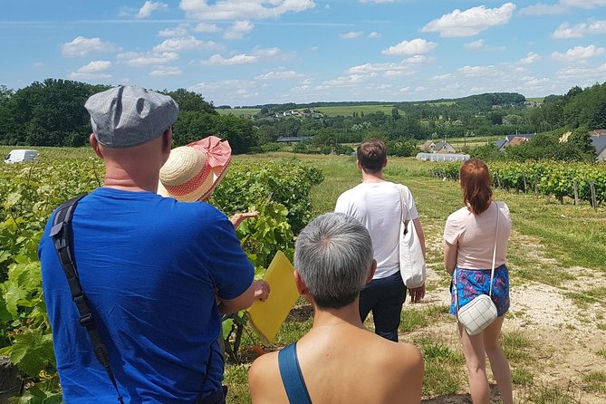 Loire Valley Day From Amboise : Azay Le Rideau, Villandry, Winery - Winery Visit