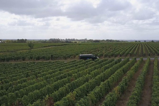 Loire Valley Half Day Wine Tour From Tours : Vouvray Wine Tasting - Explore Underground Wine Cellars