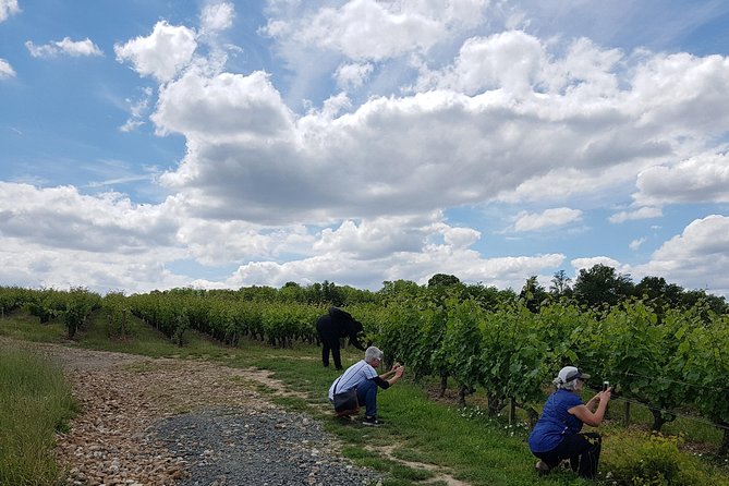 Loire Valley Half Day Wine Tour From Tours : Vouvray Wine Tasting - Visit Two Wineries