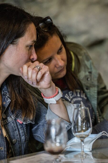 Loire Valley Tour & Wine Tasting Vouvray, Chinon, Bourgueil - Scenic Views of the Loire Valley