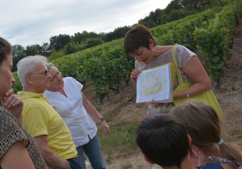 Loire Valley: Vouvray Vineyard Tour and Wine Tasting - Tasting Vouvrays Family-Owned Wines