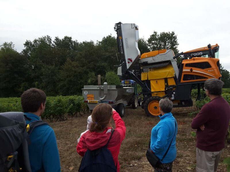 Loire Valley: Vouvray Vineyard Tour and Wine Tasting - Savoring Local Food Specialties