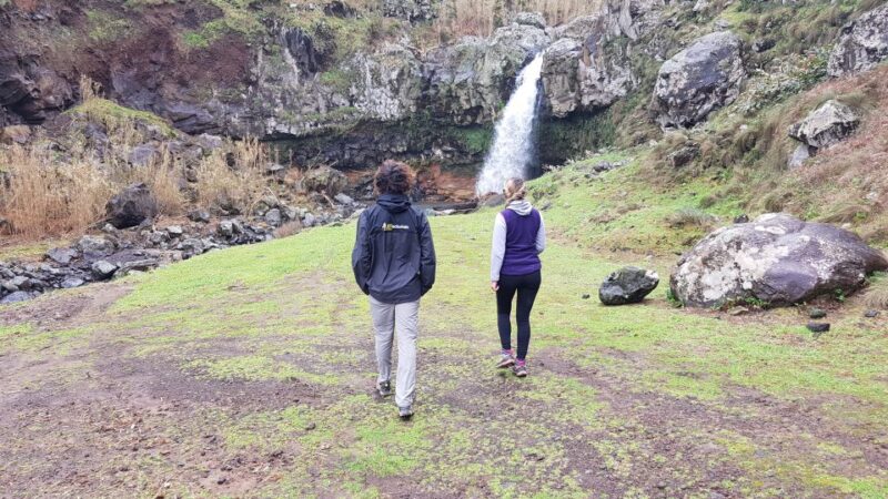 Lomba De São Pedro: Waterfall Hiking Tour With Tea Tasting - Transportation and Logistics