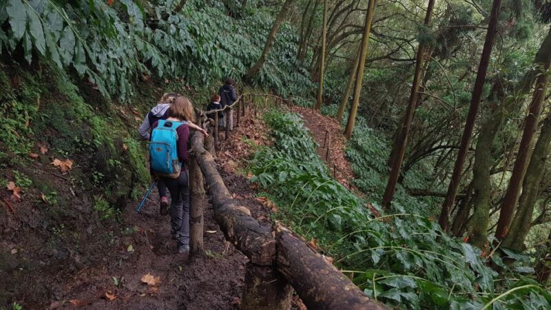 Lomba De São Pedro: Waterfall Hiking Tour With Tea Tasting - Customer Feedback