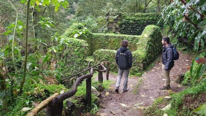 Lomba De São Pedro: Waterfall Hiking Tour With Tea Tasting - Scenic Waterfall Hike