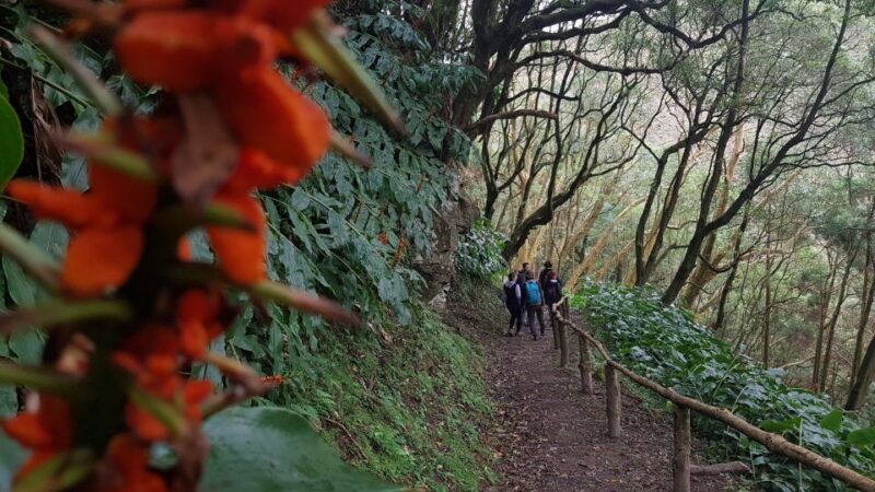 Lomba De São Pedro: Waterfall Hiking Tour With Tea Tasting - What to Bring