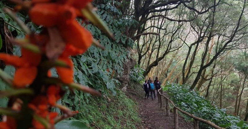 Lomba De São Pedro: Waterfall Hiking Tour With Tea Tasting - Customer Feedback