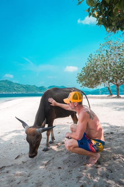 Lombk Beach Camp : Explore 8 Secret Gilis - Gili Asahan: Impressive Biodiversity