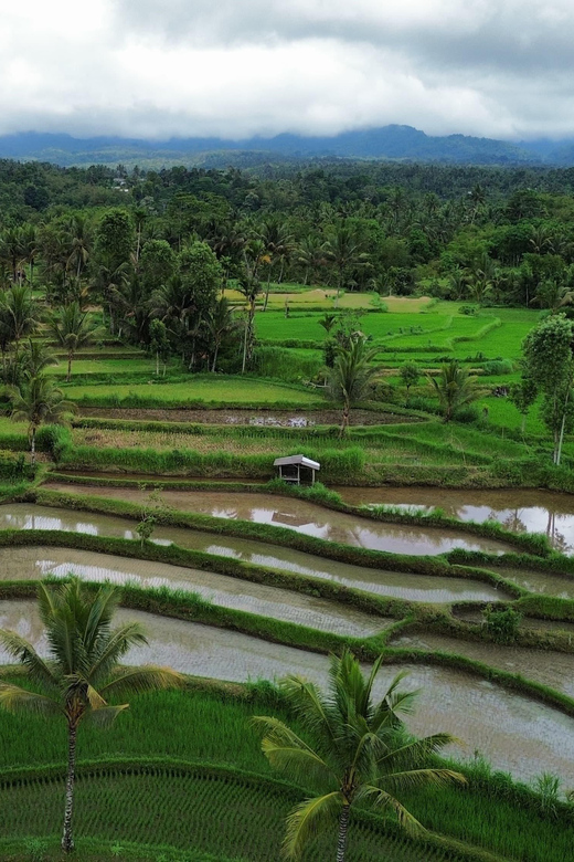 Lombok: Countryside Tour Tetebatu & Benang Stokel Waterfall - Key Points