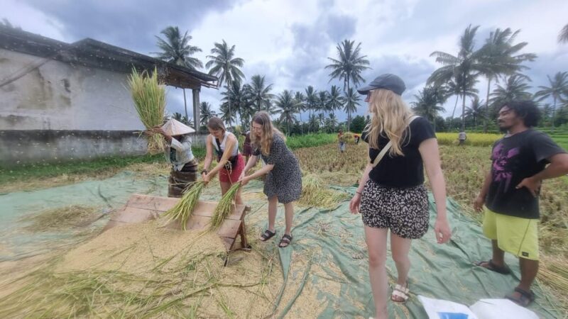 Lombok: Countryside Tour Tetebatu & Benang Stokel Waterfall - Itinerary Highlights