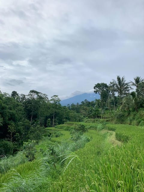 Lombok: Countryside Tour Tetebatu & Benang Stokel Waterfall - Participant Guidelines