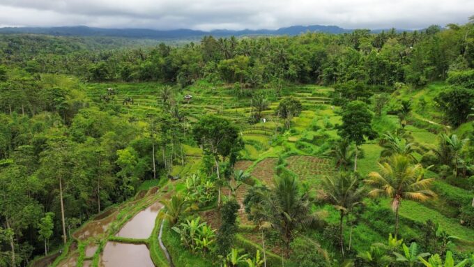 Lombok: Countryside Tour Tetebatu & Benang Stokel Waterfall - Pickup and Drop-off Locations