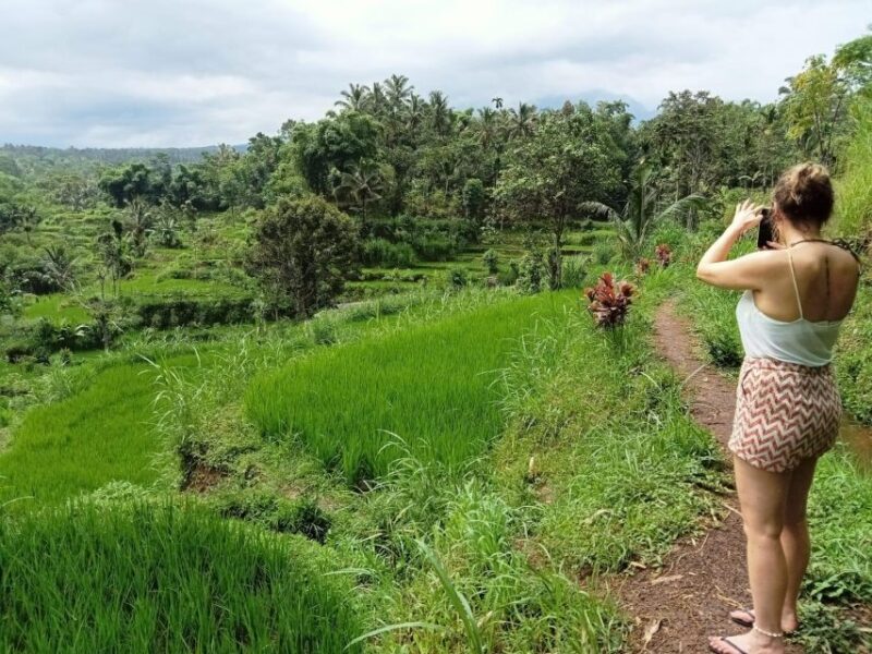 Lombok: Customizable Privat Trip-Car Hire With Driver-Guide - Key Points