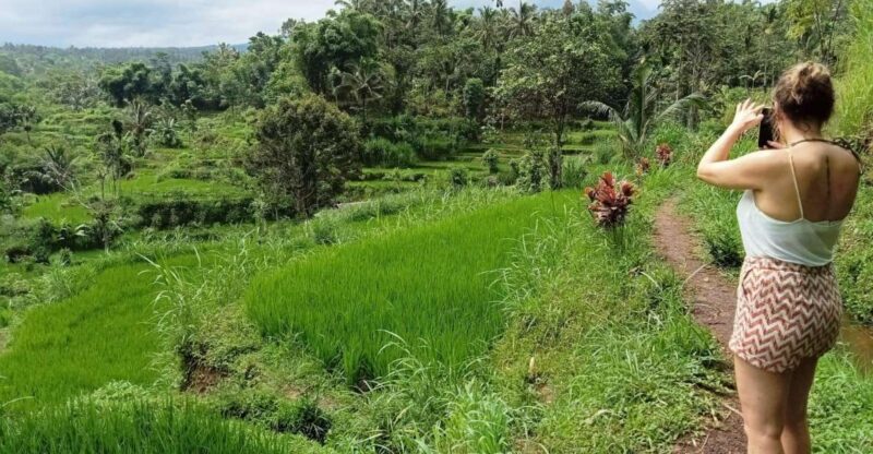 Lombok: Customizable Privat Trip-Car Hire With Driver-Guide - Itinerary and Flexibility