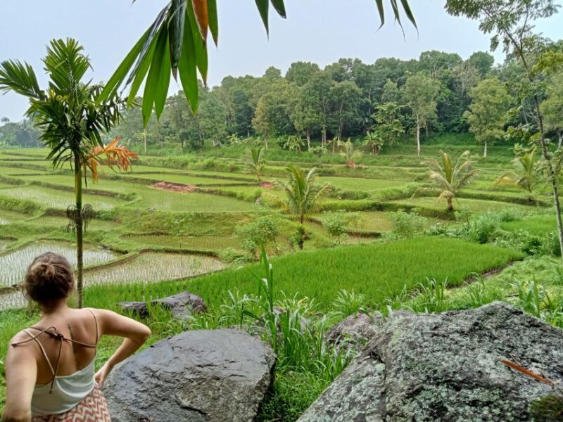 Lombok: Customizable Privat Trip-Car Hire With Driver-Guide - Transportation Details