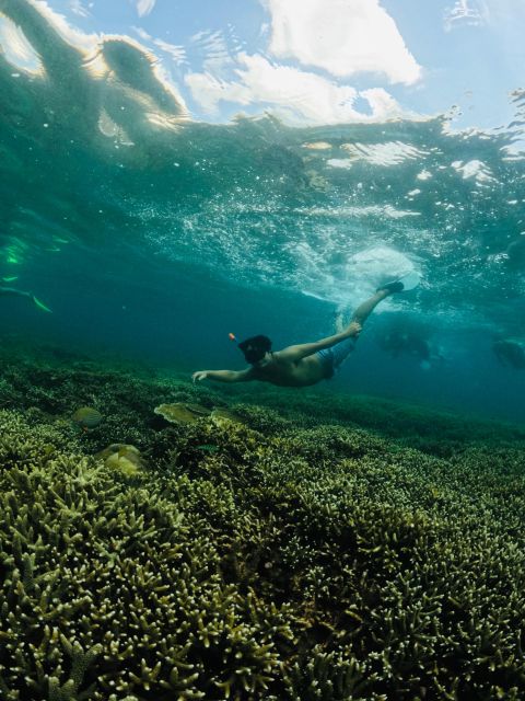 Lombok: Customizable Privat Trip-Car Hire With Driver-Guide - Customer Experiences and Reviews
