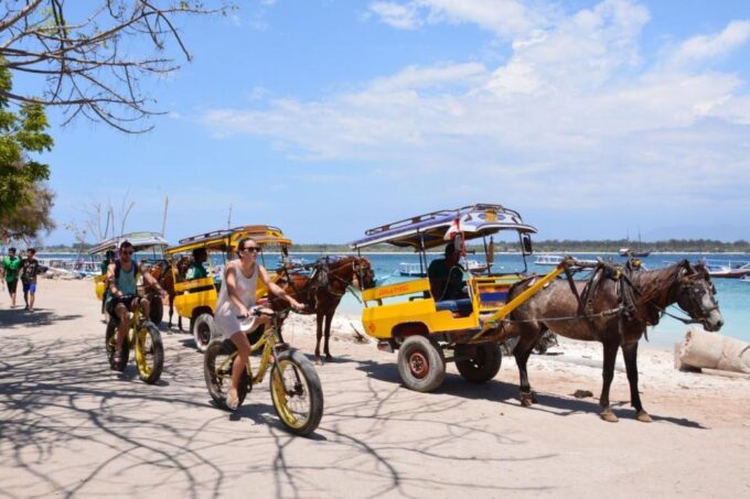 Lombok: Customizable Privat Trip-Car Hire With Driver-Guide - Included in the Package
