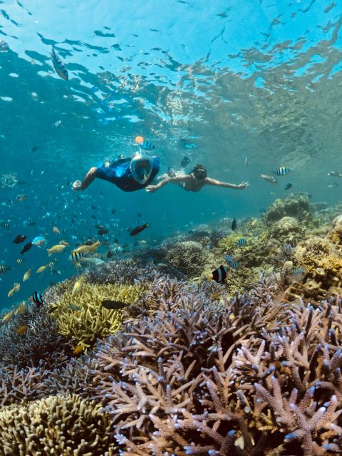 Lombok: Customizable Privat Trip-Car Hire With Driver-Guide - Important Considerations