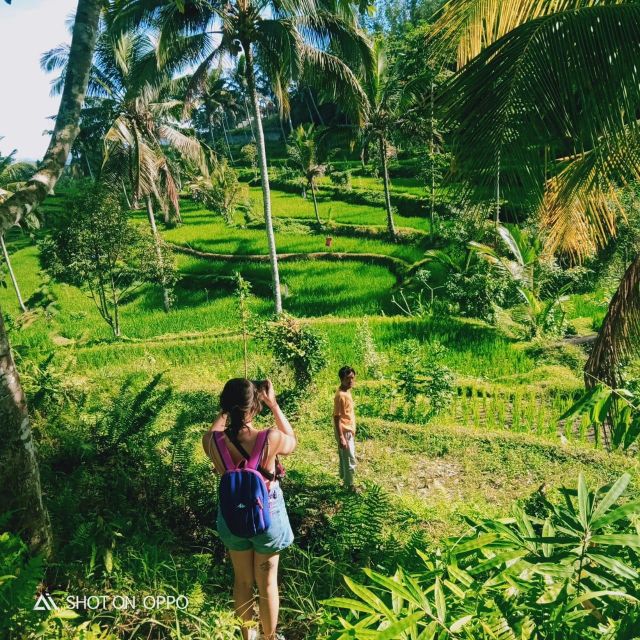 Lombok: Day Tour Selong Hill, Sendang Gile & Tiu Kelep Waterfall - Scenic Drive Through Valleys and Gorges